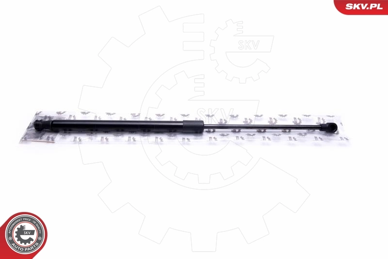 Gas Spring, boot/cargo area
